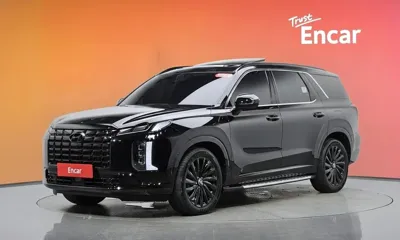 Hyundai Palisade · 2024 год