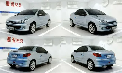 Peugeot 206 2005, 103000 км, за 2280.13 USD - фото 11