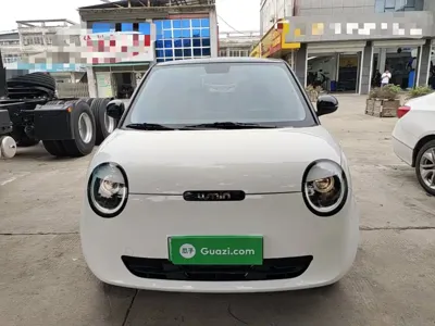 Qiyuan Lumin 2025, 16700 км, за 5356.4 USD