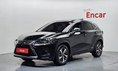Lexus NX · 2020 год