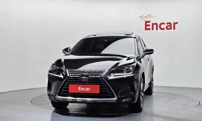 Lexus NX 2020, 50786 км, за 25702.01 USD