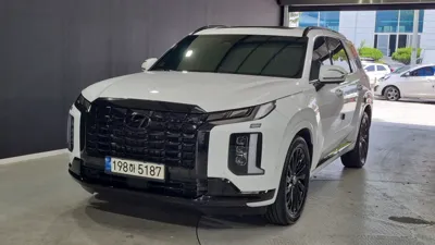 Hyundai Palisade · 2024 год
