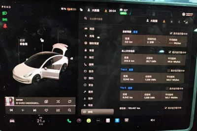 Tesla Model 3 2020, 120500 км, за 18622 USD - фото 14
