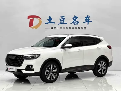 Haval H6 · 2023 год