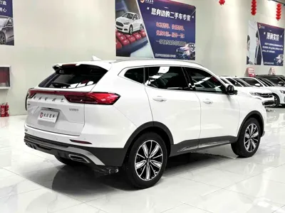 Haval H6 2023, 43000 км, за 12365.46 USD
