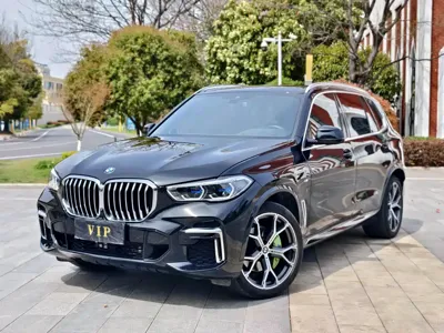 BMW X5 · 2023 год