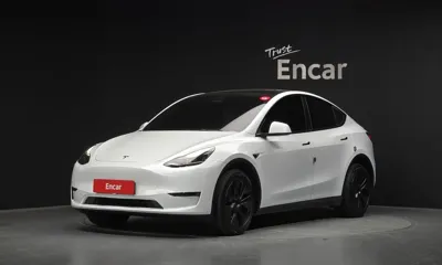 Tesla Model Y · 2024 год