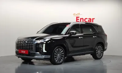Hyundai Palisade · 2023 год
