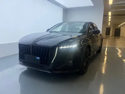 Hongqi Hongqi H5 · 2026 год