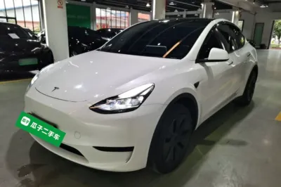 Tesla Model Y · 2024 год
