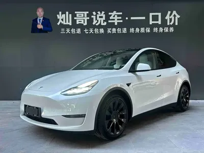 Tesla Model Y · 2021 год
