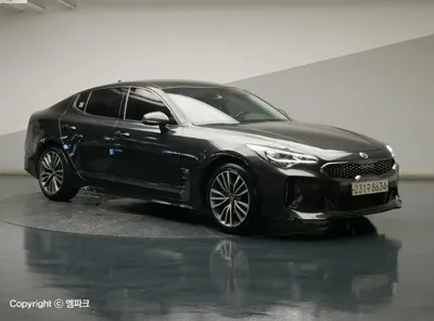 Kia Stinger 2018, 140144 км, за 8395.03 USD