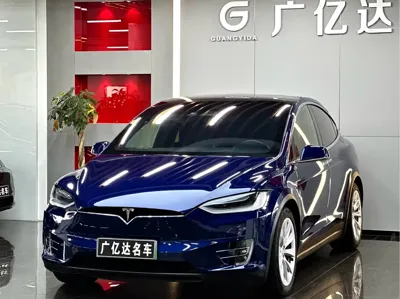 Tesla Model X · 2019 год
