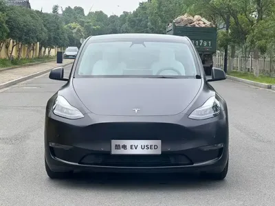Tesla Model Y 2021, 110000 км, за 26456.23 USD