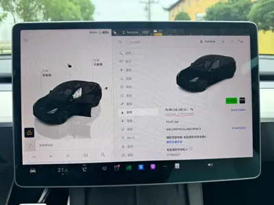 Tesla Model Y 2021, 110000 км, за 26456.23 USD - фото 7
