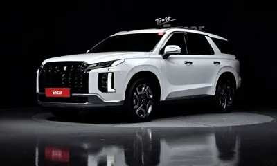 Hyundai Palisade · 2023 год