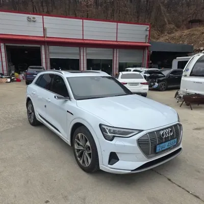 Audi e-tron 2020, 105213 км, за 25395.57 USD - фото 7
