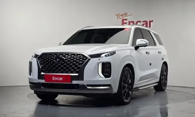 Hyundai Palisade · 2022 год