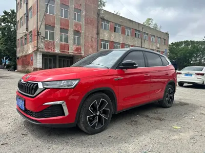 Skoda Kamiq · 2022 год