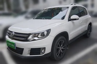 Volkswagen Tiguan · 2015 год