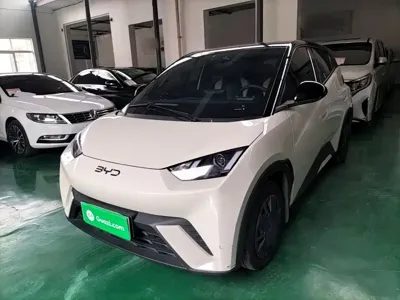 BYD Seagull 2025, 23900 км, за 8060.03 USD