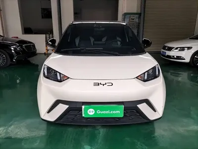 BYD Seagull 2025, 23900 км, за 8060.03 USD