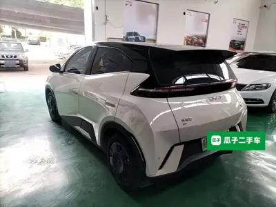 BYD Seagull 2025, 23900 км, за 8060.03 USD