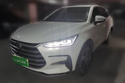 BYD Tang New Energy · 2021 год