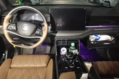 BYD Tang New Energy 2021, 31400 км, за 15210 USD - фото 9