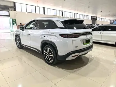 BYD L DM-i 2025, 9800 км, за 17480.53 USD