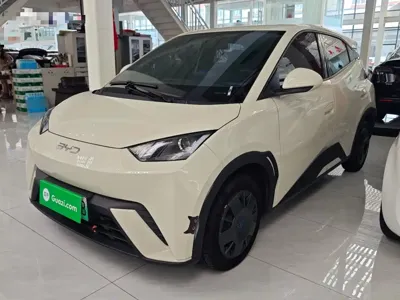 BYD Seagull · 2024 год