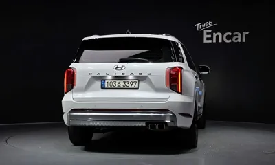 Hyundai Palisade 2023, 71406 км, за 20195.45 USD