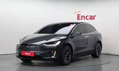 Tesla Model X · 2019 год