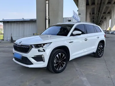 Skoda Kodiaq · 2022 год
