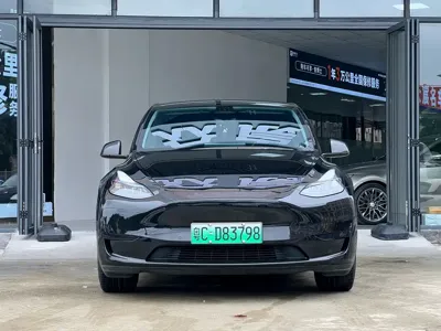 Tesla Model Y 2024, 55000 км, за 24871.42 USD