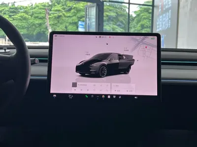 Tesla Model Y 2024, 55000 км, за 24871.42 USD - фото 9