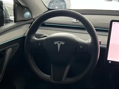 Tesla Model Y 2024, 55000 км, за 24871.42 USD - фото 10
