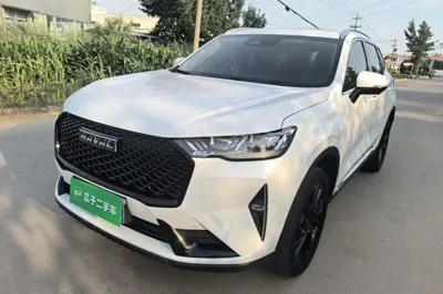 Haval H6 · 2021 год