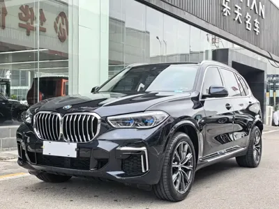 BMW X5 · 2023 год