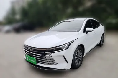 BYD Destroyer 05 · 2024 год