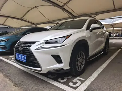 Lexus NX · 2021 год