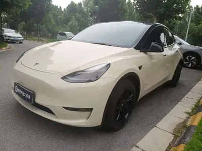 Tesla Model Y · 2021 год