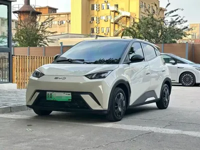 BYD Seagull · 2024 год