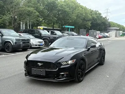 Ford Mustang · 2019 год