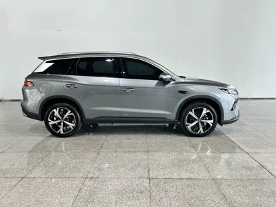 BYD Pro New Energy 2026, 1800 км, за 15273.39 USD