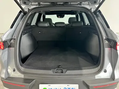 BYD Pro New Energy 2026, 1800 км, за 15273.39 USD - фото 9