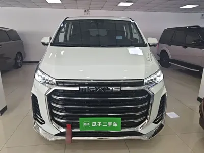 大通 G20 2021, 49700 км, за 13102.68 USD