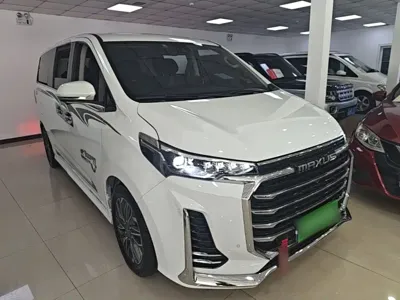 大通 G20 2021, 49700 км, за 13102.68 USD