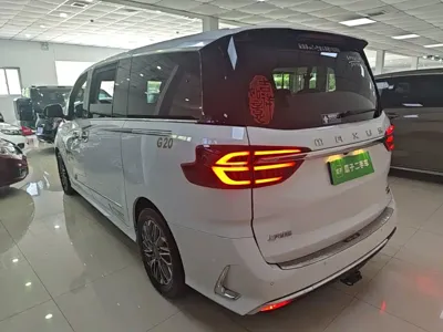 大通 G20 2021, 49700 км, за 13102.68 USD