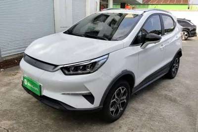 BYD Yuan Pro · 2021 год